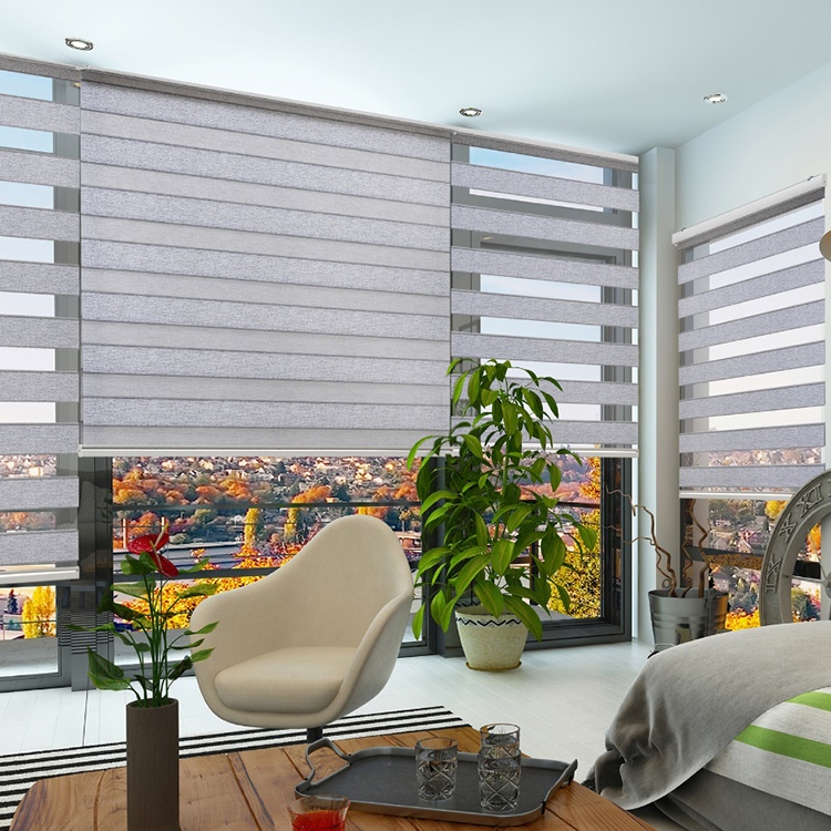 Zebra Blinds